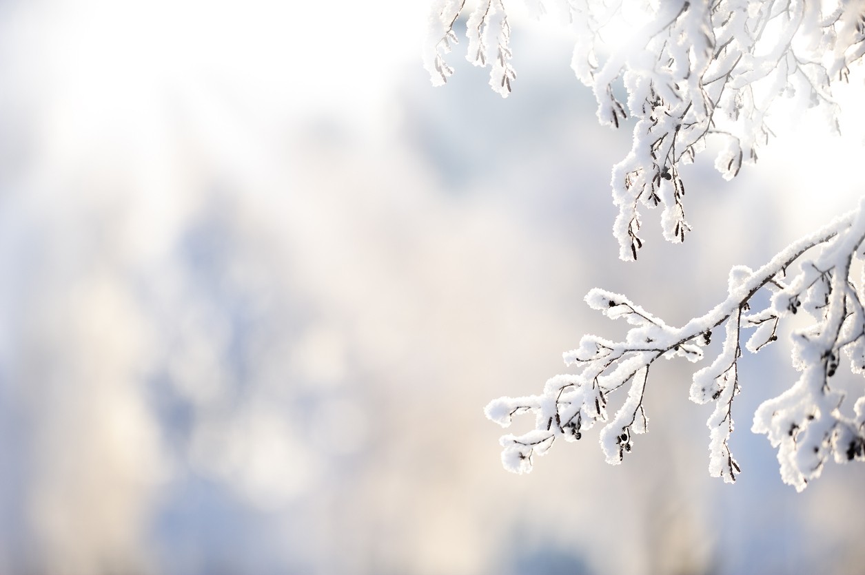 Best Deck Materials to Install for Winter
